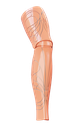 Aura (OneFit)