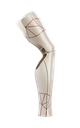 Crystal Flex (OneFit)