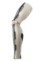 Quantum (OneFit)