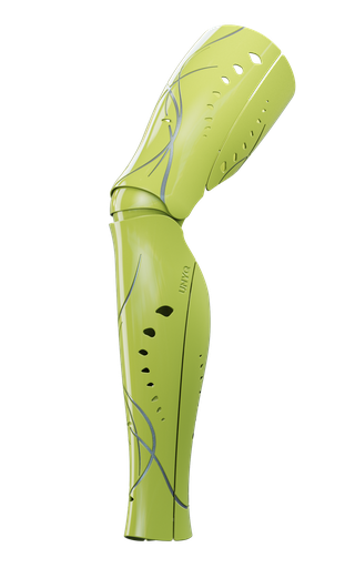 [PCOFPA0956] Swan (OneFit)